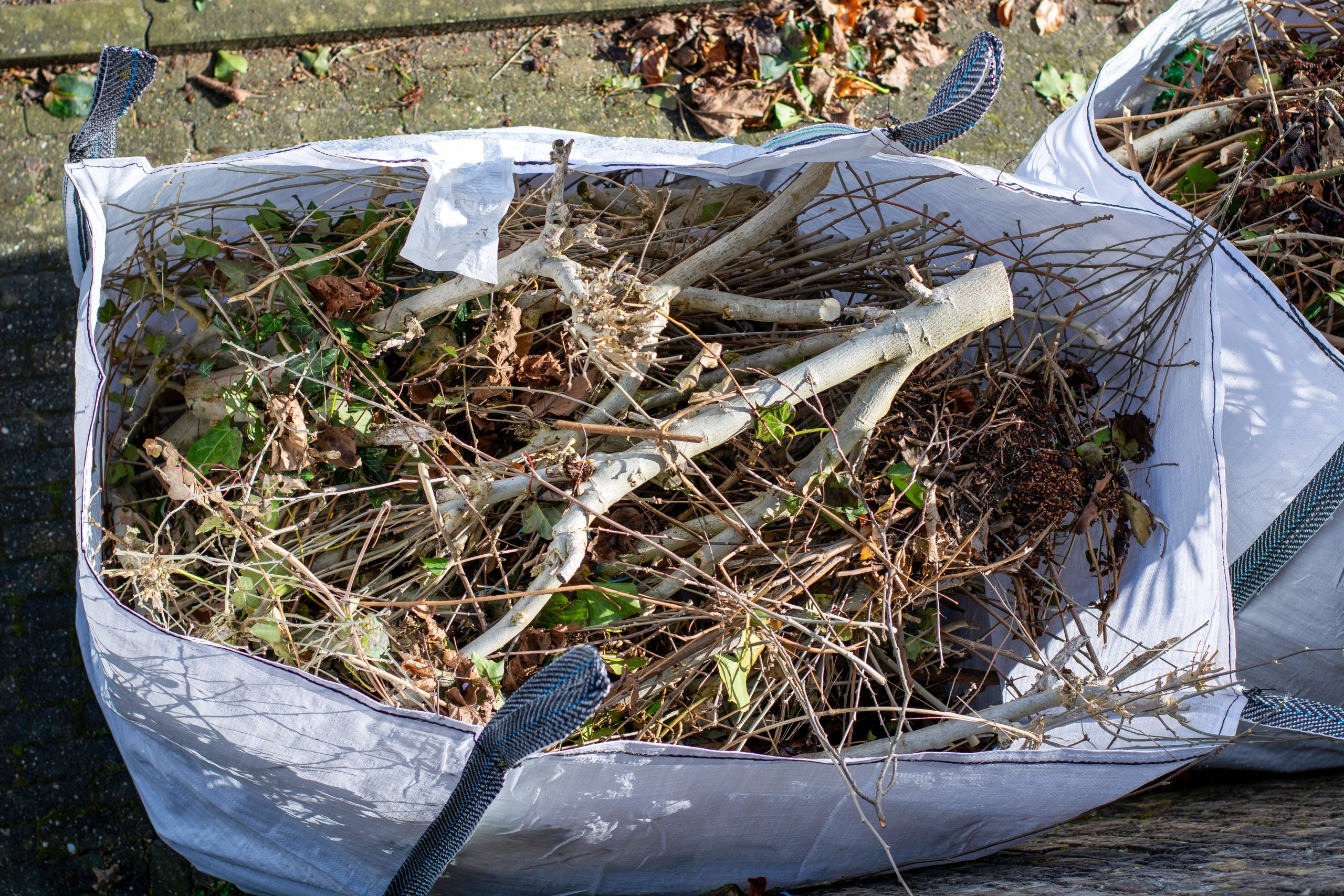 Garden Clearance Lewisham SE13