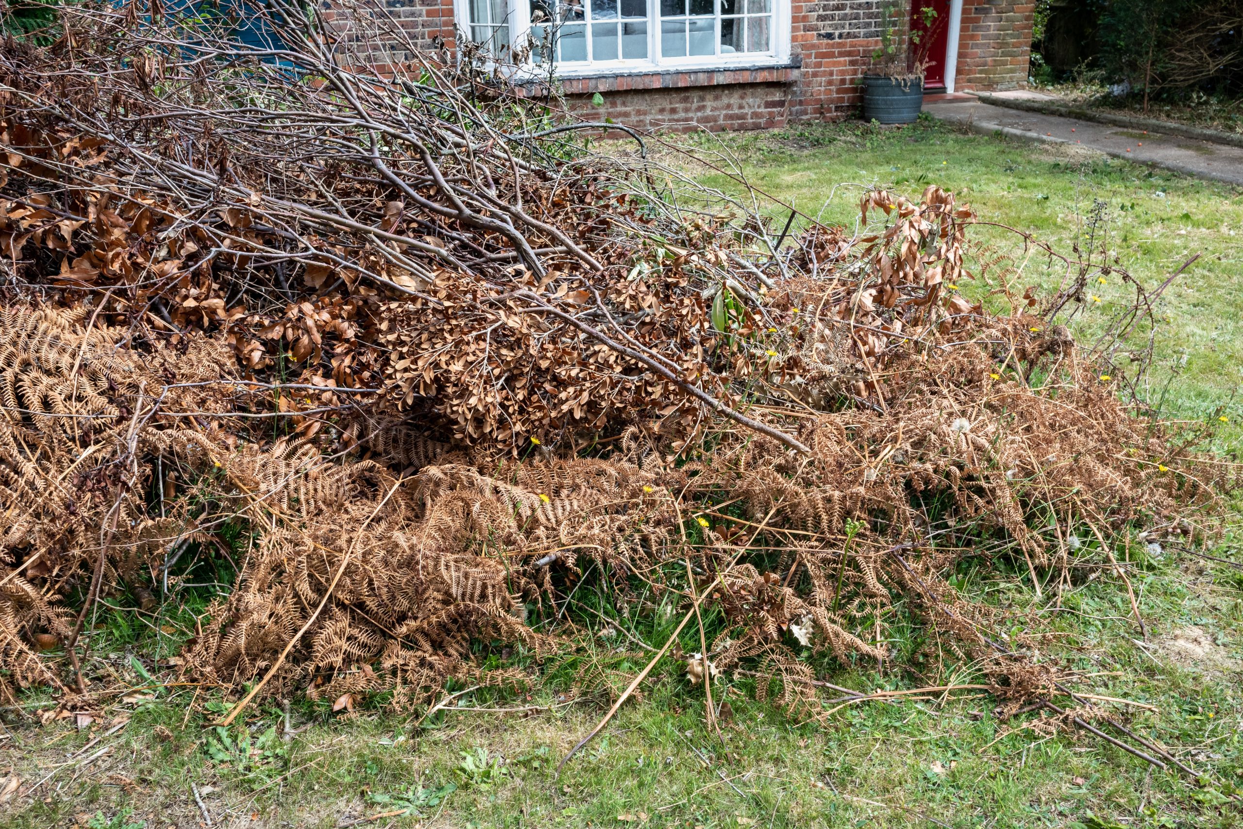 Garden Green Waste Removal Lewisham SE13